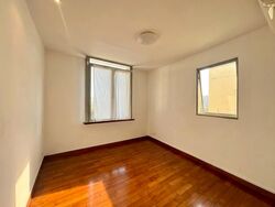 Mount Elizabeth (D9), Terrace #550218801